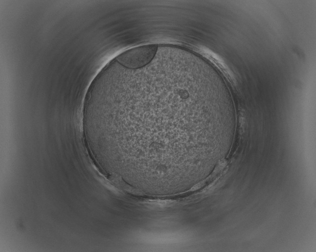 X0000116611236200912241727