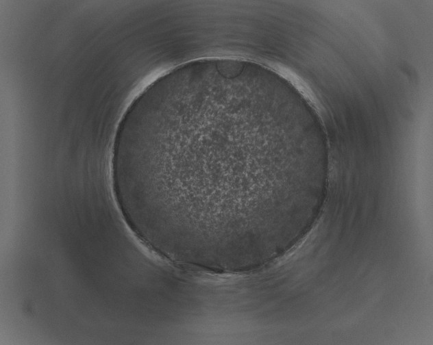 X0000116611237200912241727