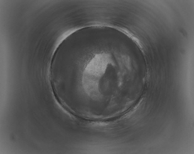 X0000116611239200912241727