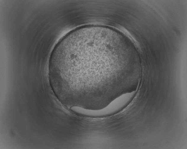 X0000116611240200912241727