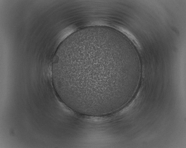 X0000116611241200912241727