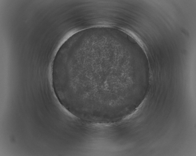 X0000116611243200912241727