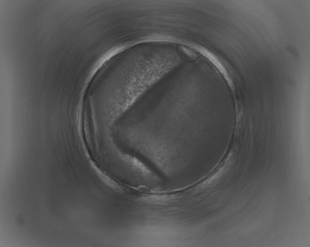 X0000116611245200912241727