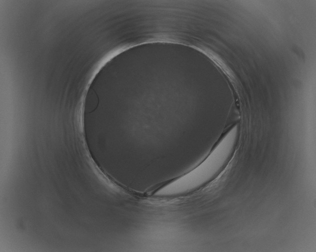 X0000116611246200912241727