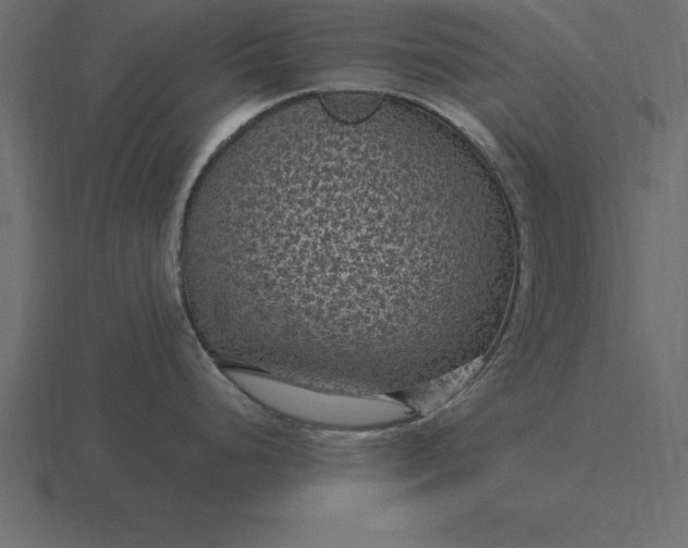 X0000116611248200912241727