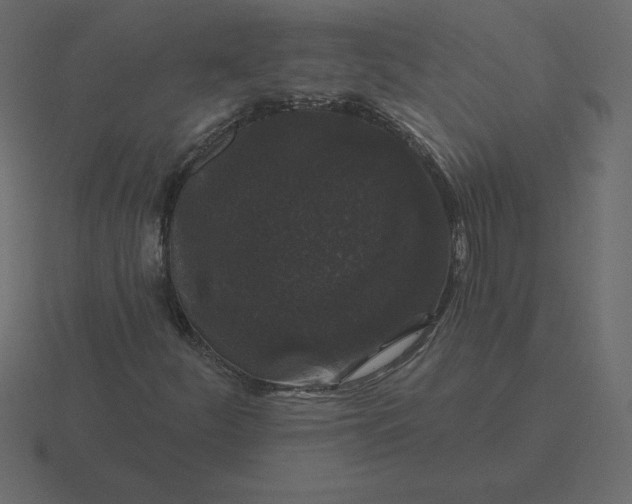 X0000116611252200912241726