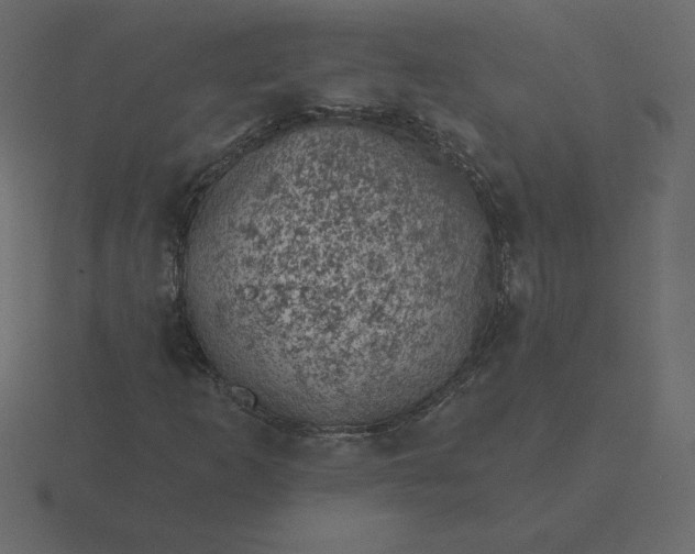 X0000116611253200912241726