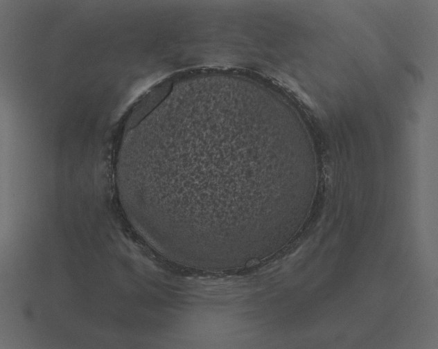 X0000116611256200912241726