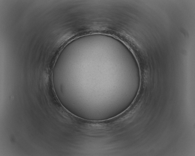 X0000116611257200912241726