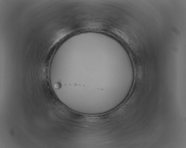 X0000116611258200912241726