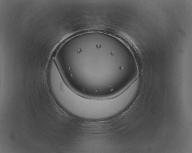 X0000116611260200912241726