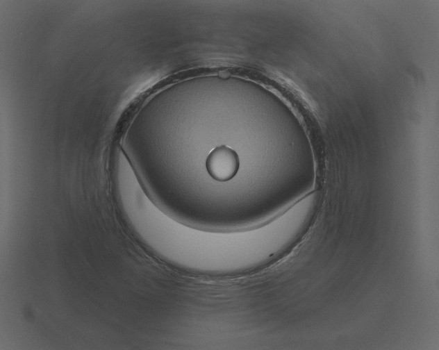 X0000116611261200912241726