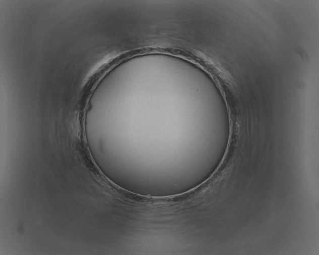 X0000116611262200912241726