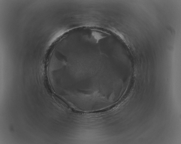 X0000116611263200912241726