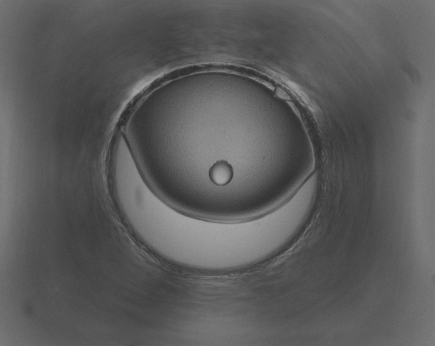 X0000116611264200912241726