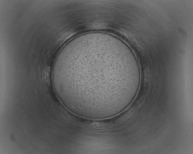 X0000116611265200912241726