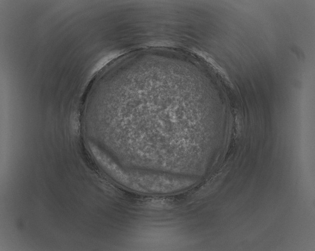 X0000116611266200912241726