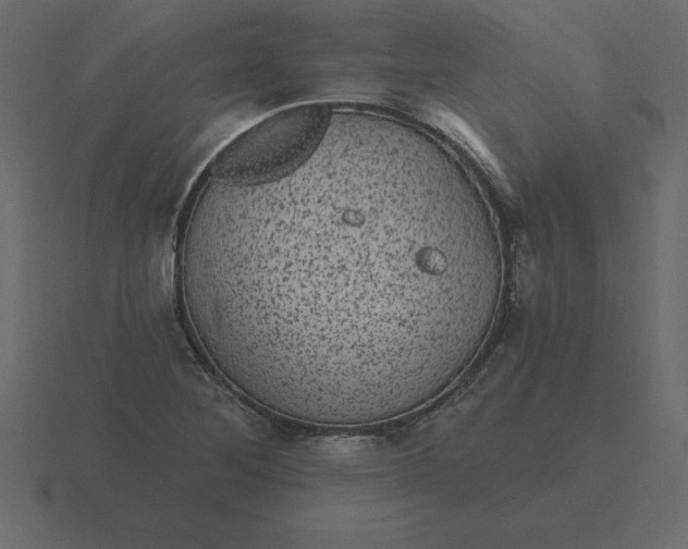 X0000116611268200912241726