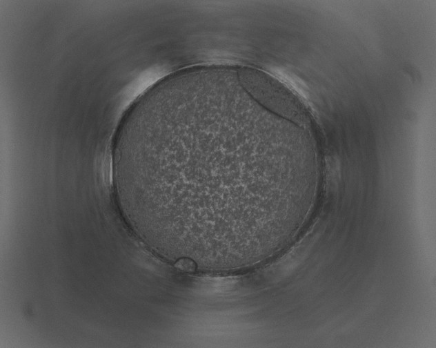 X0000116611269200912241726