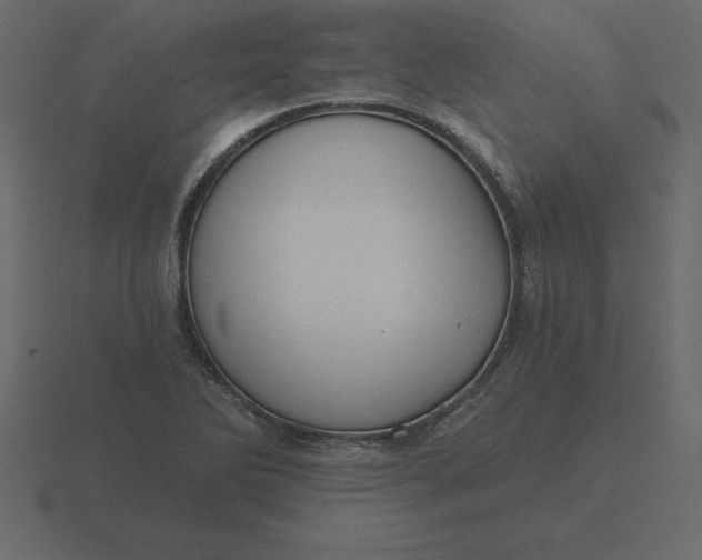 X0000116611270200912241726