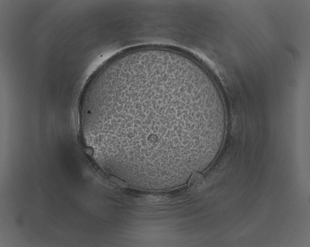 X0000116611271200912241726