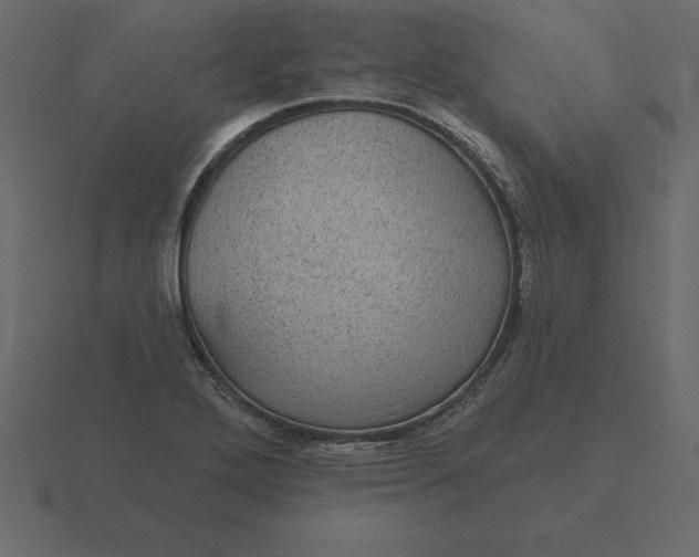 X0000116611272200912241726