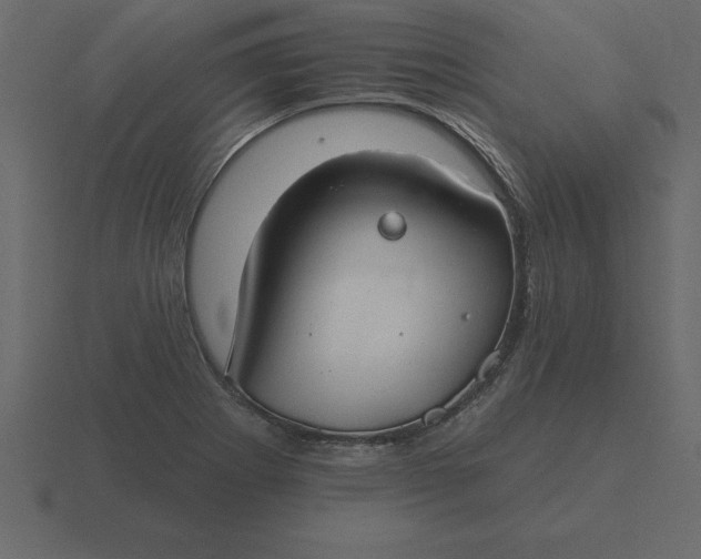 X0000116611273200912241726