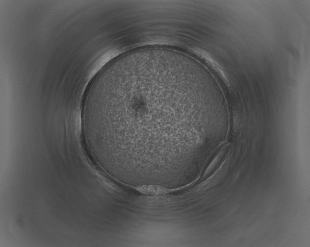 X0000116611274200912241726