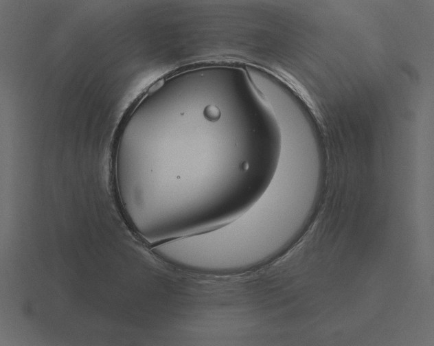 X0000116611277200912241726