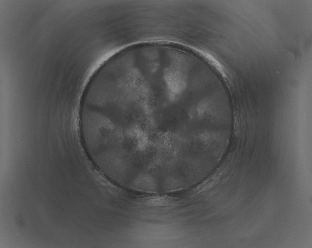 X0000116611279200912241726