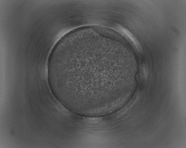 X0000116611280200912241726