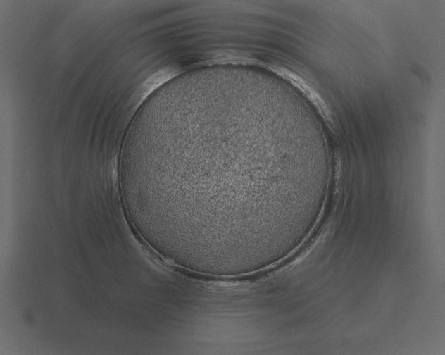 X0000116611281200912241726