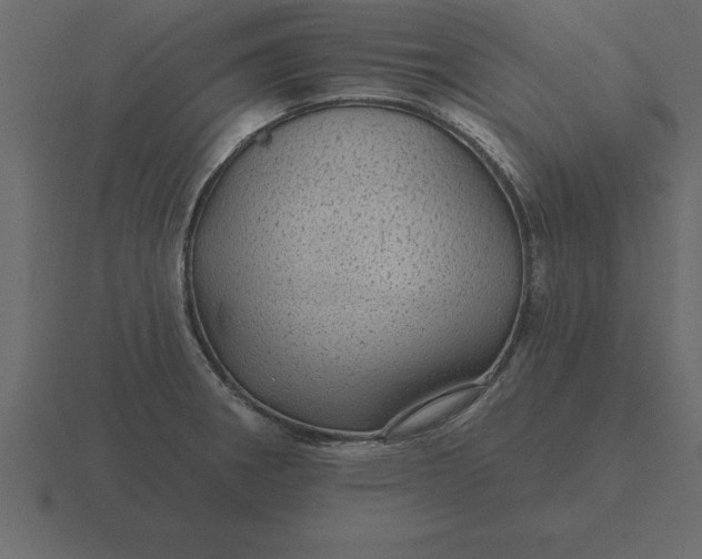 X0000116611282200912241726