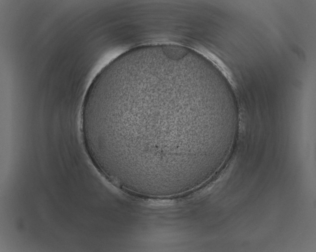 X0000116611285200912241726