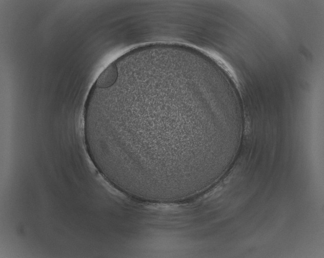 X0000116611287200912241726