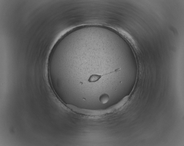 X0000116611288200912241726