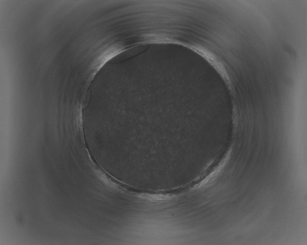 X0000116611289200912241726