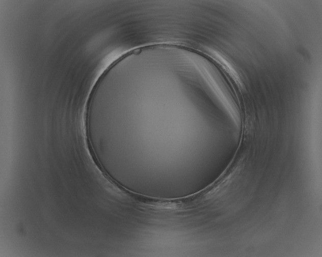 X0000116611291200912241726