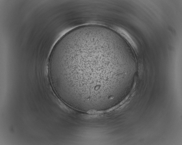 X0000116611292200912241726