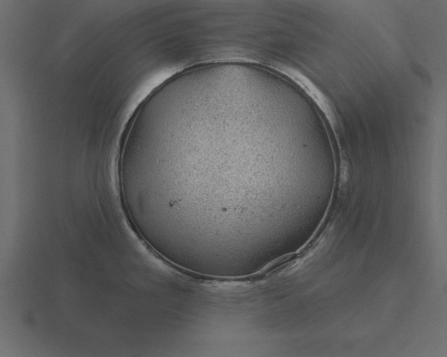 X0000116611293200912241726