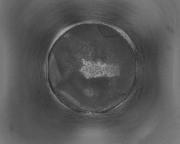 X0000116611295200912241726