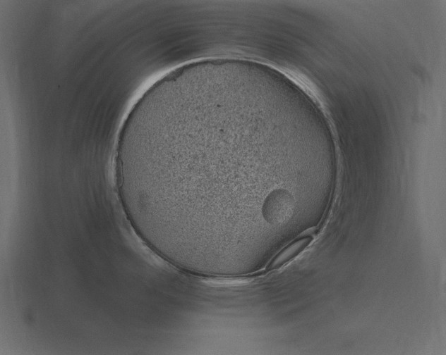 X0000116611296200912241726