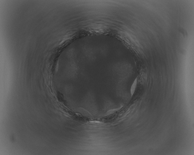 X0000116611297200912241725