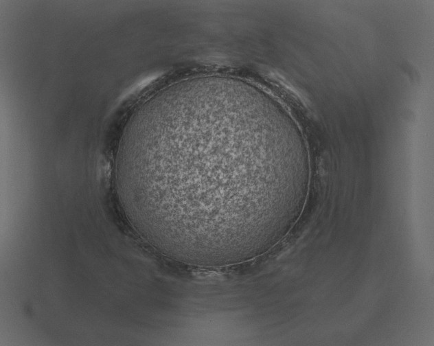 X0000116611302200912241725