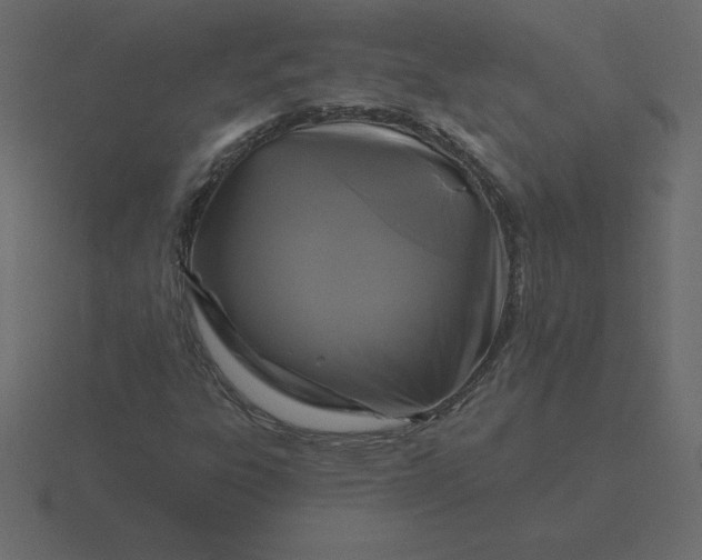 X0000116611303200912241725