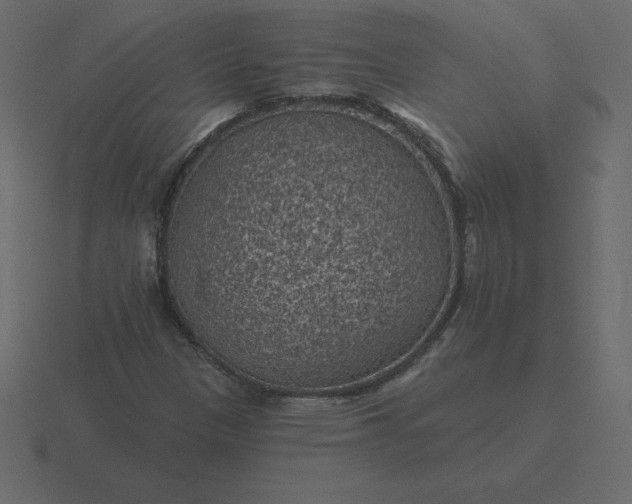 X0000116611305200912241725