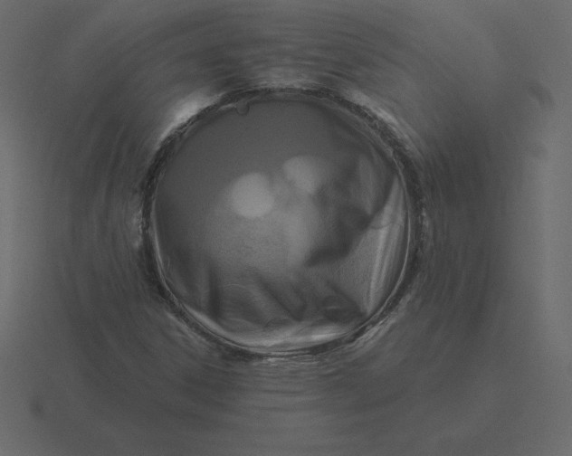 X0000116611306200912241725