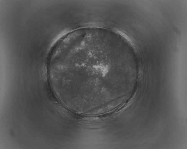 X0000116611310200912241725