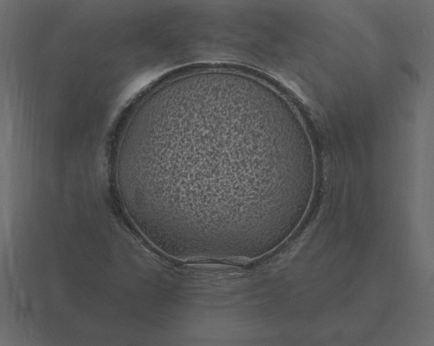 X0000116611311200912241725