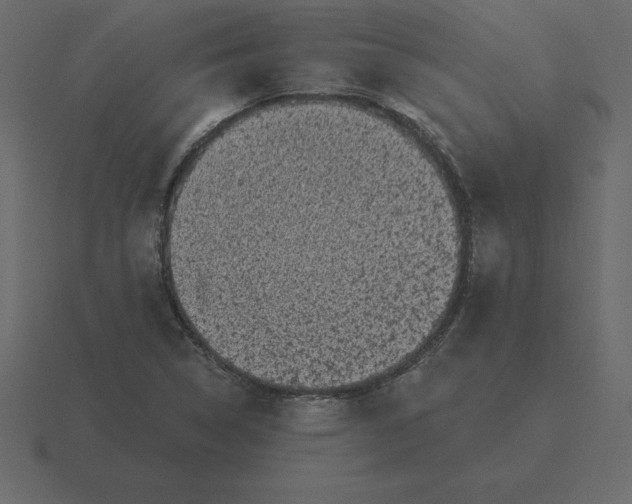 X0000116611314200912241725